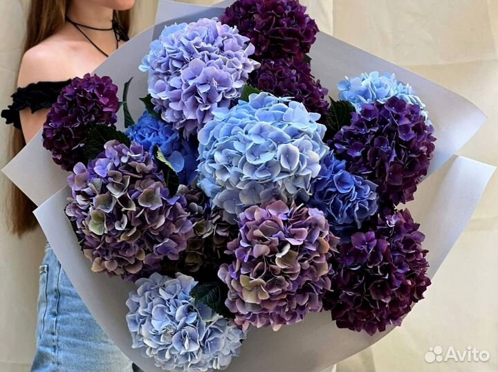 Гортензии с гарнтией и доставкой