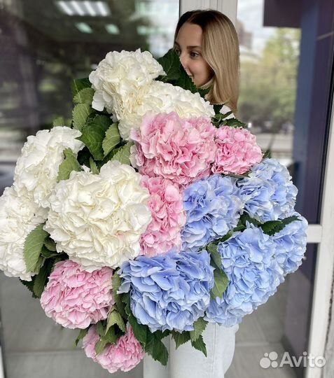 Букет гортензия, доставка цветов