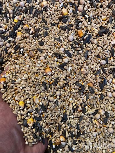 Зерносмесь