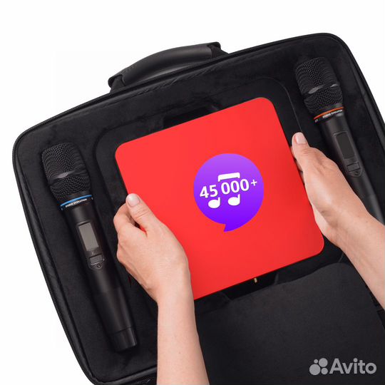 Караоке EvoBox Plus Ruby с микрофонами + EvoCase
