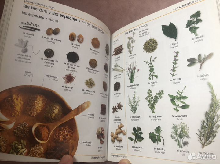 Словарь по испанскому