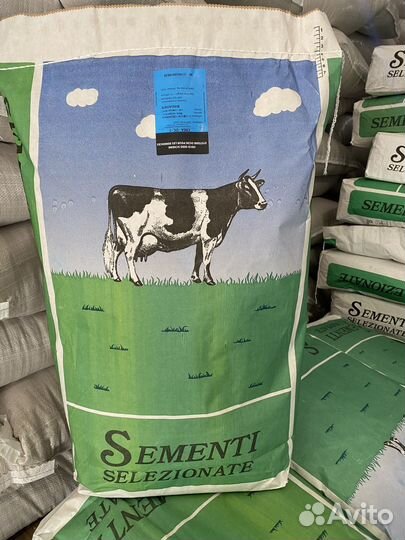 Кормовая свёкла Бригадир семена