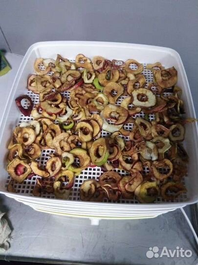 Сушилка для овощей и фруктов