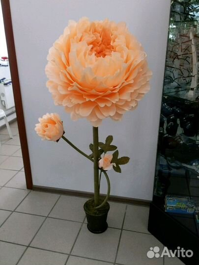 Ростовые цветы,поделки,топиарии