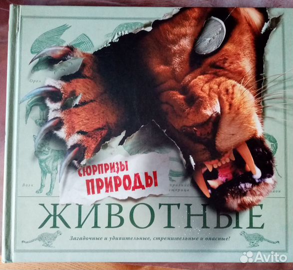 Книги для детей разные