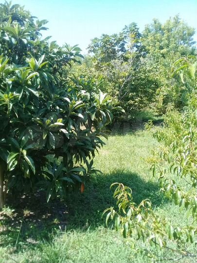 Участок 6,5 сот. (ИЖС)