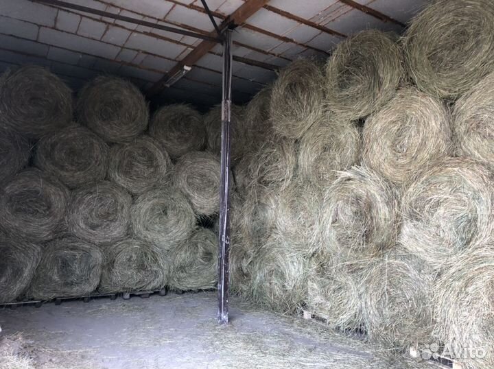Сено в рулонах