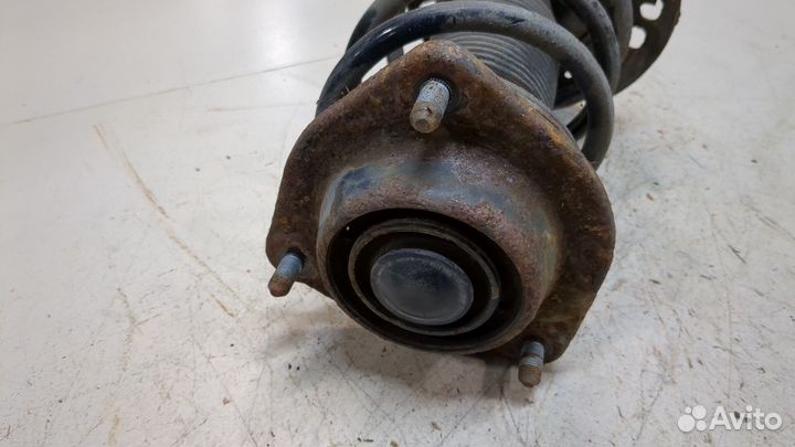 Амортизатор подвески левый передний Hyundai Veloster 2011, 2012