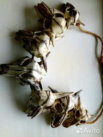 Костюм хищника predator