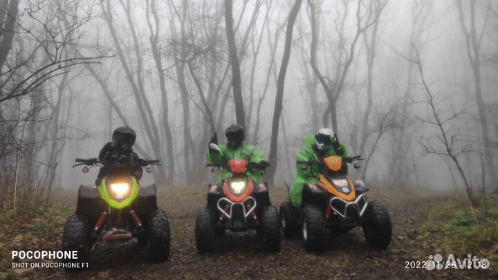 Прокат квадроциклов 341