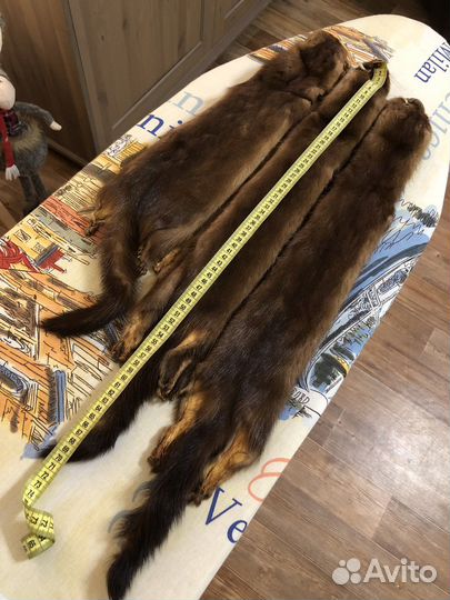 Шкурки норки