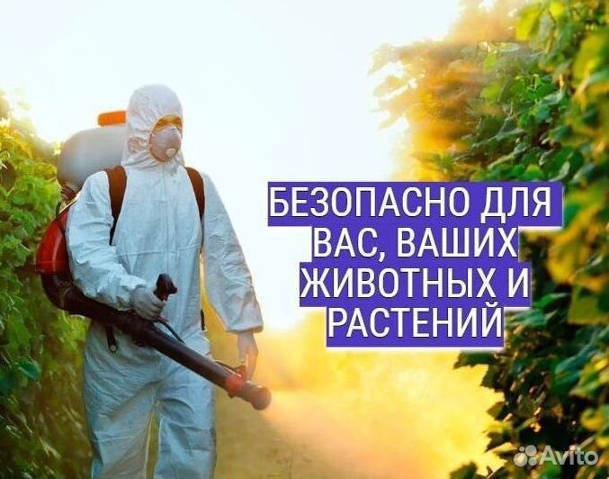 Уничтожение тараканов клопов Дезинфекция