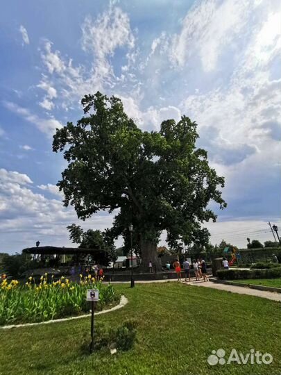 Джиппинг (экскурсии)