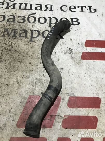 Патрубок радиатора Opel Astra J (2009—2012)