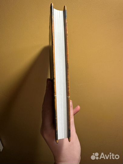 Последняя лекция. Рэнди Пауш