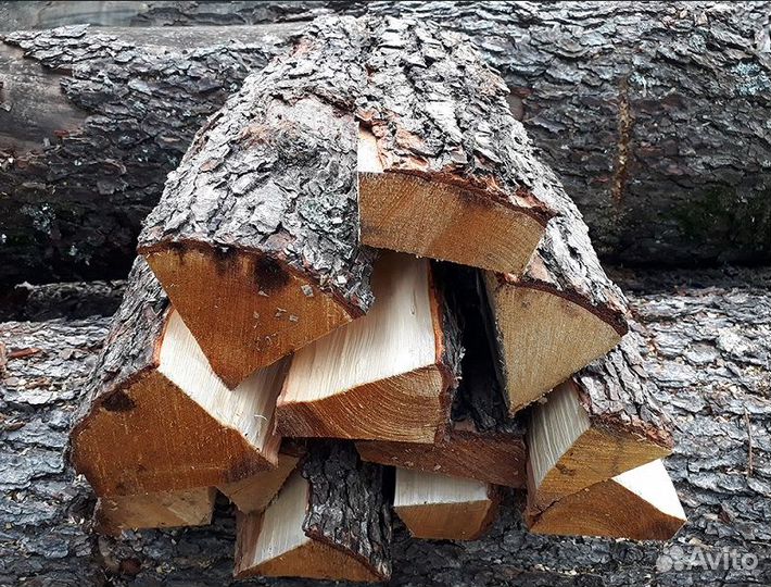 Дрова береза