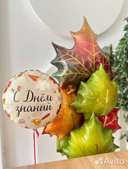 Воздушные шары на 1 сентября