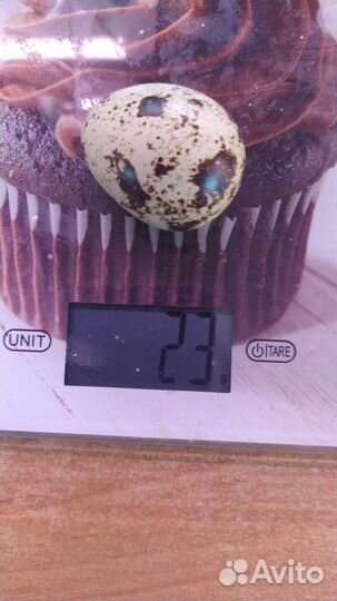 Яйца перепелиные