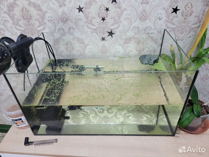Аквариум