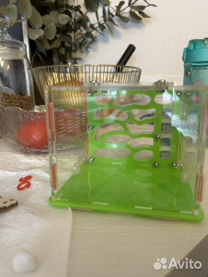 Муравьиная ферма