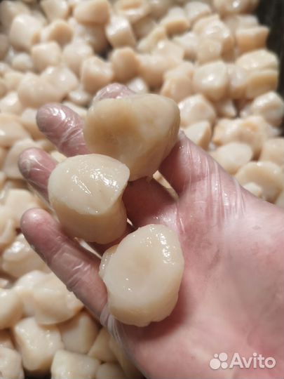 Краб, Икра, Креветки, Гребешок, Чищенное мясо