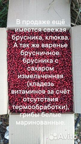 Грибы, ягоды, варенье, хреновая закуска