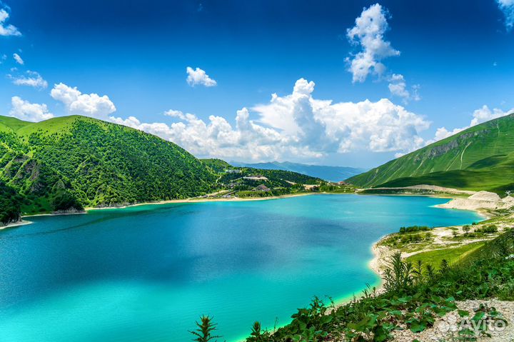 Гид экскурсовод