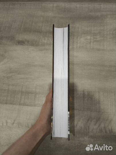 Общество мертвых и исключительных – Анви Рид