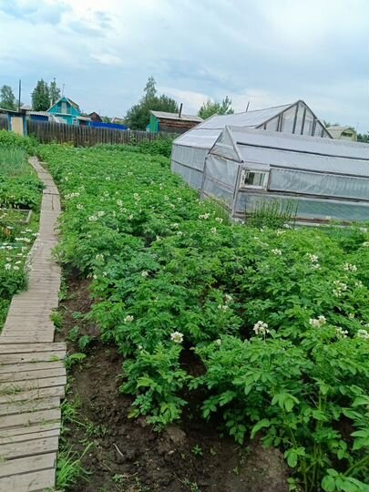 Дача 30 м² на участке 6 сот.