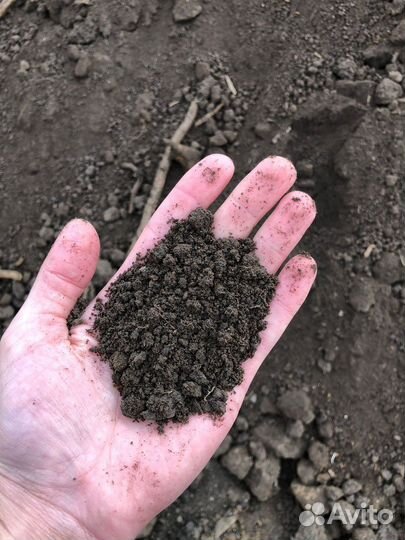 Чернозем Плодородный Грунт