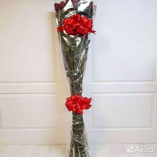 Высокие розы Гигантские розы 110