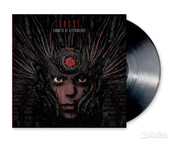 Винил Пластинка Ancst - 