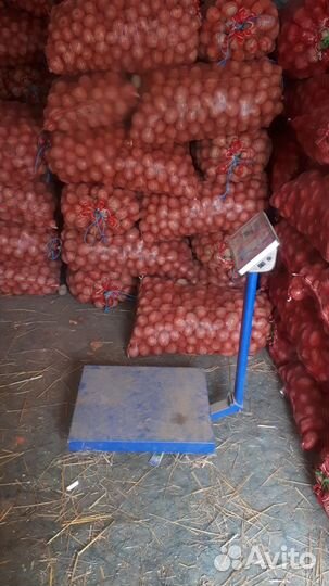 Продам картофель