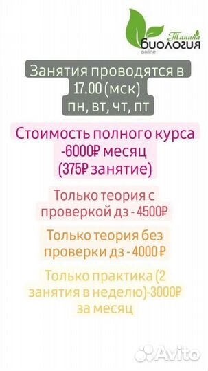 Образование