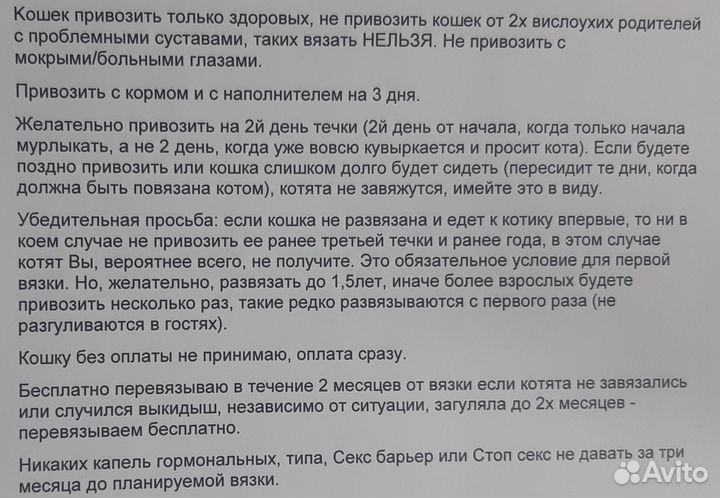 Британский кот вязка