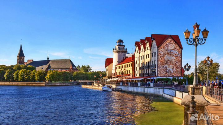 Обзорная экскурсия по г. Калининграду