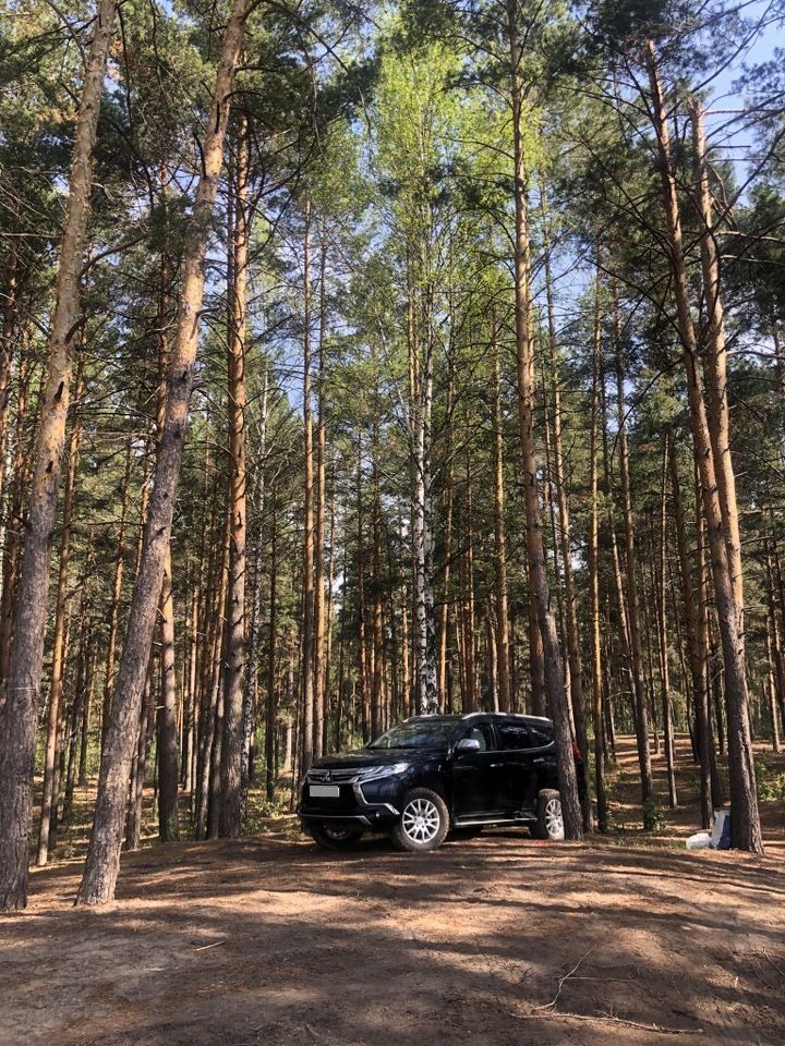 Mitsubishi Pajero Sport: фото из отзыва