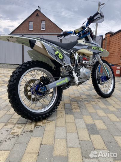Avantis FX250