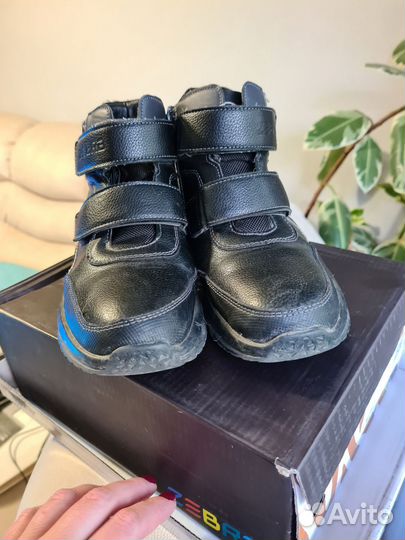 Ботинки демисезонные Zebra