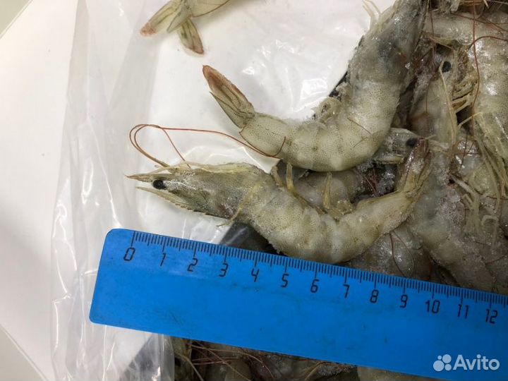 Креветка королевская 50/60