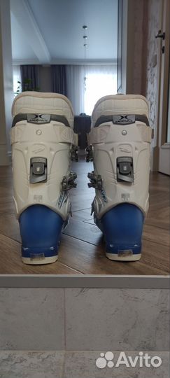 Горнолыжные ботинки dalbello