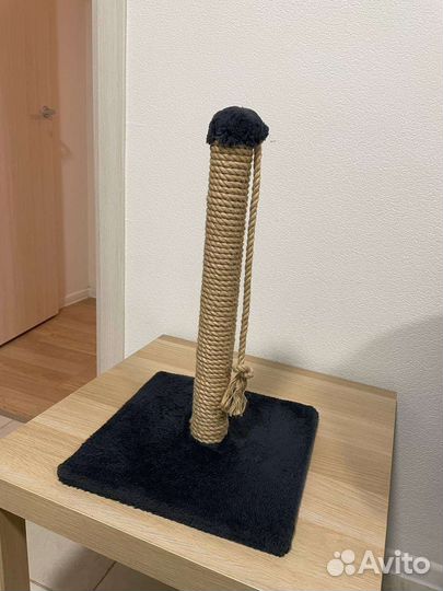 Когтеточка