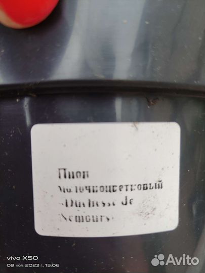 Пион дюшес де немур