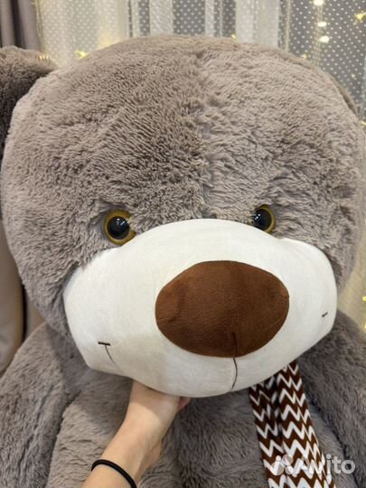 Большие плюшевые медведи