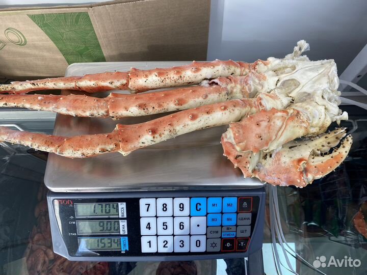 Камчатский краб