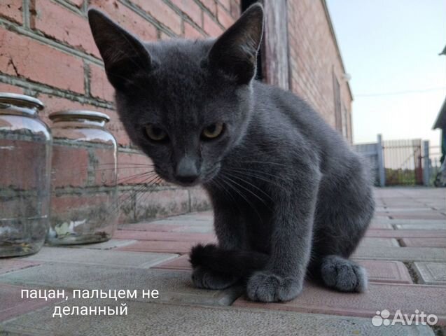 Металлические дома в Кущёвская найти