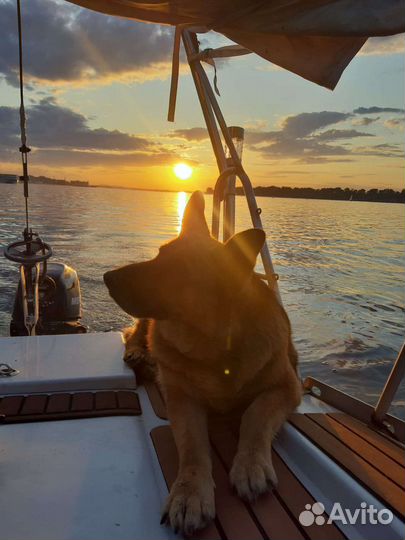 Прогулки на парусной яхте