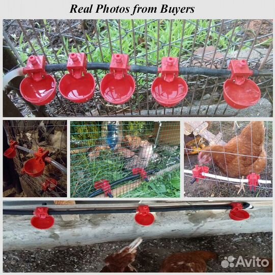 Чашечная поилка для кур, перепёлок, уток, индюков