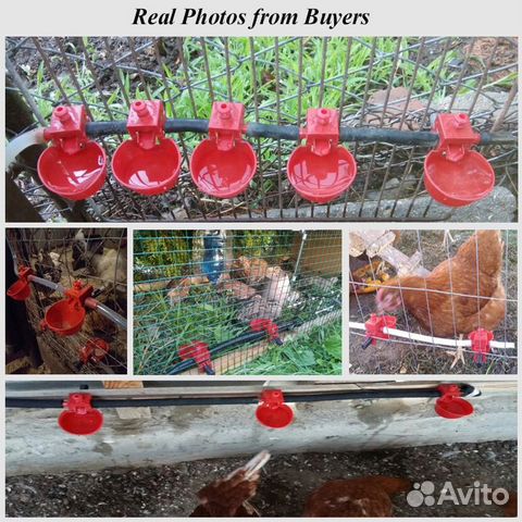 Чашечная поилка для кур, перепёлок, уток, индюков