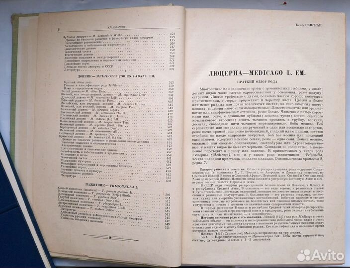 Культурная флора СССР Том13 Многолетние травы 1950